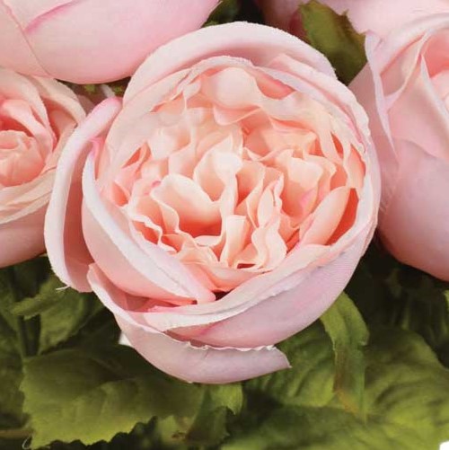 Pongee Flower Purple Pongee Flower